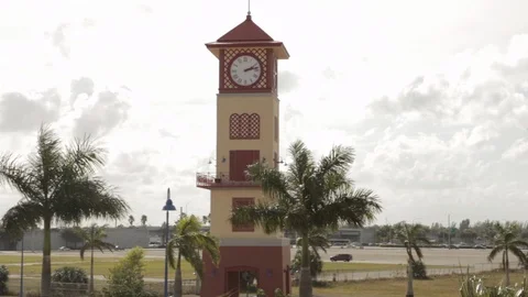 Clock Tower Surrounded by Palm Trees Stock Footage 102065019