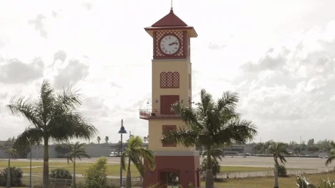 Clock Tower Surrounded by Palm Trees Stock-Footage 102065029