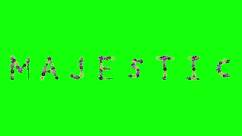 Clock Walking with Photo - Chroma Key Green Screen Footage Stock Footage 337996548