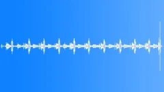 CLOCK,CUCKOO Sound Effect