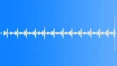CLOCK,CUCKOO Sound Effect