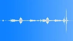 CLOCK,CUCKOO Sound Effect