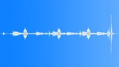 CLOCK,CUCKOO Sound Effect