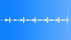 CLOCK,CUCKOO Sound Effect
