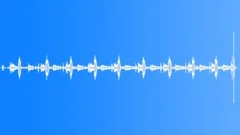 CLOCK,CUCKOO Sound Effect