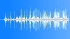 CLOCK,CUCKOO Sound Effect
