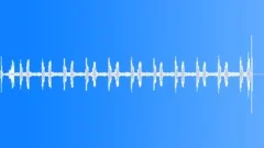 CLOCK,CUCKOO Sound Effect
