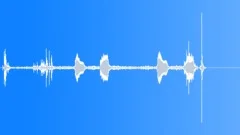 CLOCK,CUCKOO Sound Effect