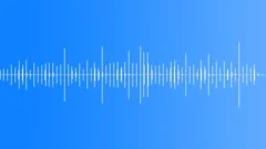 CLOCK,CUCKOOSound Effect
