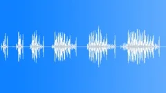 CLOCK,CUCKOOSound Effect