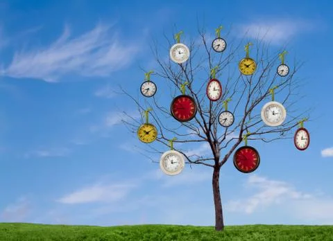 Clocks hanging from a tree Stock Photos