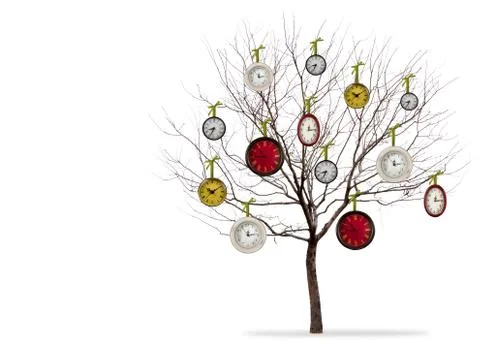 Clocks hanging from a tree on a white background Stock Photos