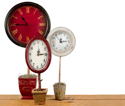Clocks on a topiary Stock Photos