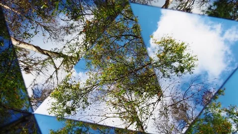 CLOCKWISE KALEIDOSCOPE OF TREES CLOUDS AND SKY 3 Stock Footage 84871461