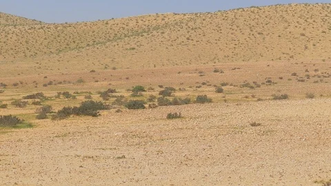 Clockwise panoramic of hills desert at winter Stock Footage 92902026