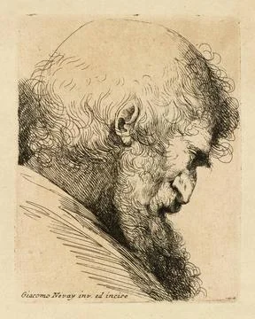 Clockwise from upper left : Head of an Old Man Looking to the Right, Head ... Stock Photos