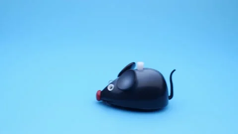 Clockwork mouse toy. Stock Footage 152048611