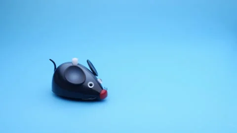 Clockwork mouse toy. Stock Footage 152048687