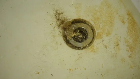 Clogged bathtub drain. Stock Footage 101229610