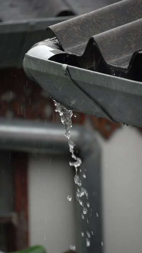 Clogged broken rain gutter, dirty roof gutter, with wet fallen leaves. Stock Footage 339166411