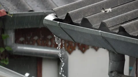 Clogged broken rain gutter, dirty roof gutter, with wet fallen leaves. Stock Footage 339166416
