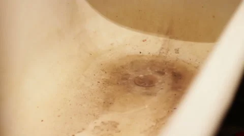 Clogged Drain in the Bathroom Stock Footage 61743658