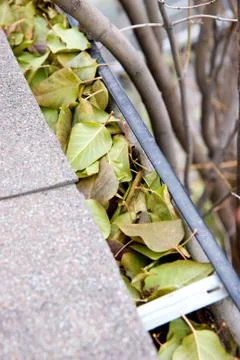 Clogged gutter Stock Photos