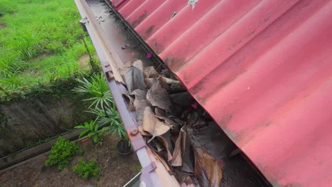 Clogged rain gutter, dirty roof gutter, with wet fallen leaves. Stock Footage 340774855