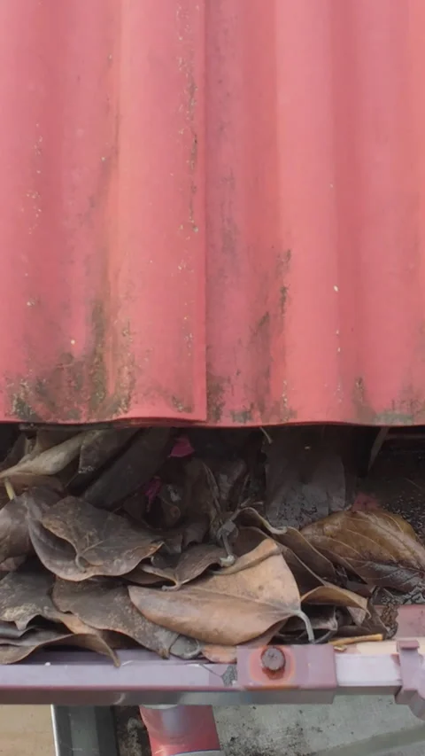 Clogged rain gutter, dirty roof gutter, with wet fallen leaves. Stock Footage 343707024