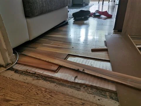 Clogged sewage drain pipe, causing a damage Stock Photos