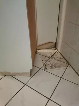 Clogged sewage drain pipe, causing a damage Stock Photos