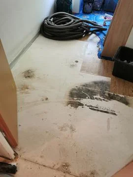 Clogged sewage drain pipe, causing a damage Foto stock