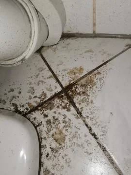 Clogged sewage drain pipe, causing a damage Stock Photos