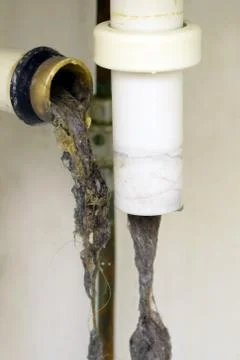 Clogged sink pipe Stock Photos