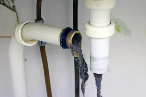 Clogged sink pipe Stock Photos