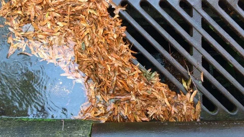 Clogged storm drain from above Stock Footage 98215355