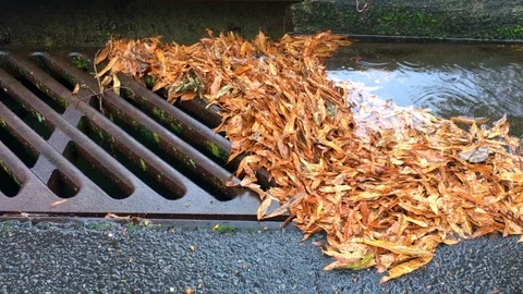 Clogged storm drain in rain Stock Footage 98216252