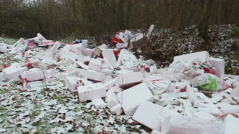Clogging the forest with construction garbage. Ecological catastrophy. 動画素材 144733623