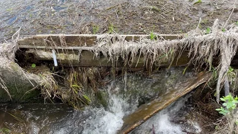 Clogging of the reservoir with garbage Stock Footage 244938397