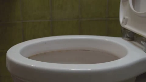 Clogging of the toilet Stock Footage 131317321