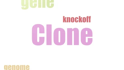Clone Tag Cloud Animated Isolated On White Video stock 107205721