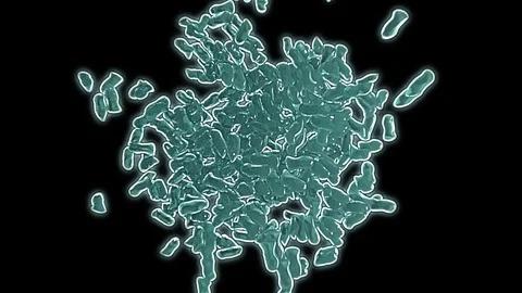 Cloning of Bacteria, 3d animation Stock Footage 88340175