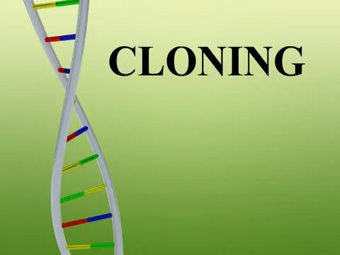 CLONING - biotechnology concept Stock Illustration