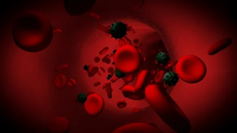 Close up 3d view of blood cells stream with virus cellular organisms. Virus and Stock Footage 112824974
