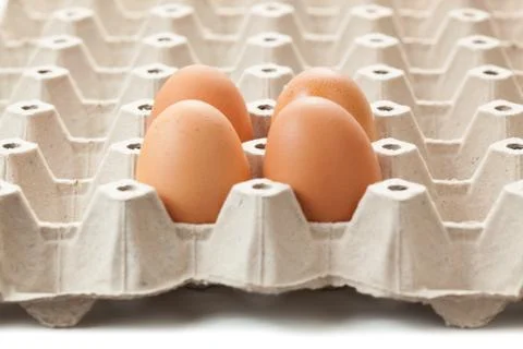 Close up of 4 eggs on rag. or cartons packing. on white background. Stock Photos