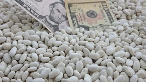 Close-up of 5 dollars standing on white beans, 스톡 동영상 162119427