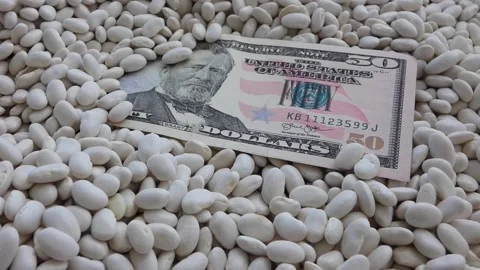 Close-up of 50 dollars standing on white beans, 動画素材 162119496