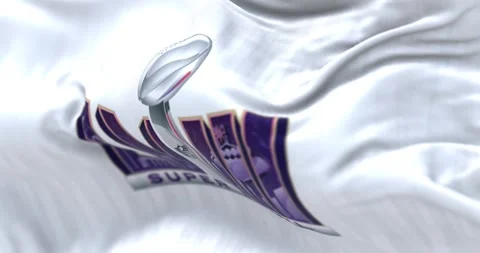 Close-up of 58th Super Bowl flag waving Stock Footage 253305152