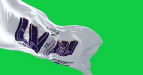 Close-up of 58th Super Bowl flag waving on green screen Stock Footage 258082405