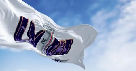 Close-up of 58th Super Bowl flag waving Stock Illustration